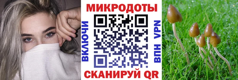 Псилоцибиновые грибы MAGIC MUSHROOMS  Тбилисская 